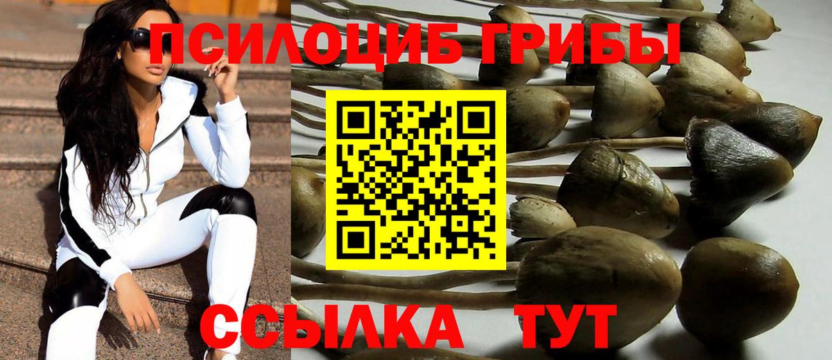Галлюциногенные грибы MAGIC MUSHROOMS  Галлюциногенные грибы GOLDEN TEACHER  Вход с VPN  Моздок 